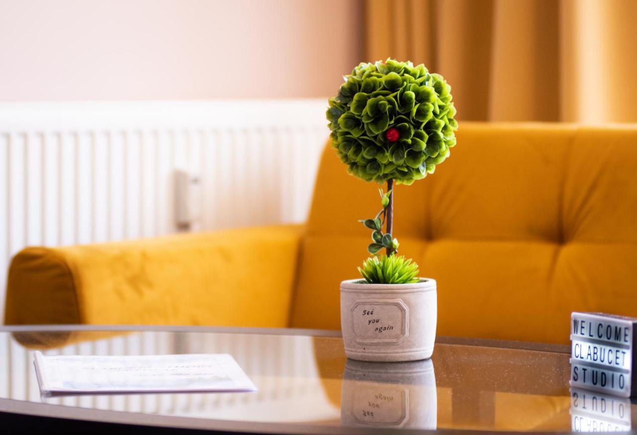 Clabucet Studio Predeal Exteriér fotografie
